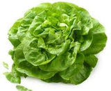 Lettuce